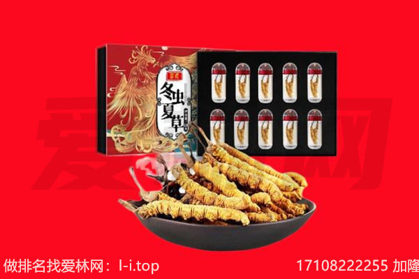 郾城区回收虫草.jpg